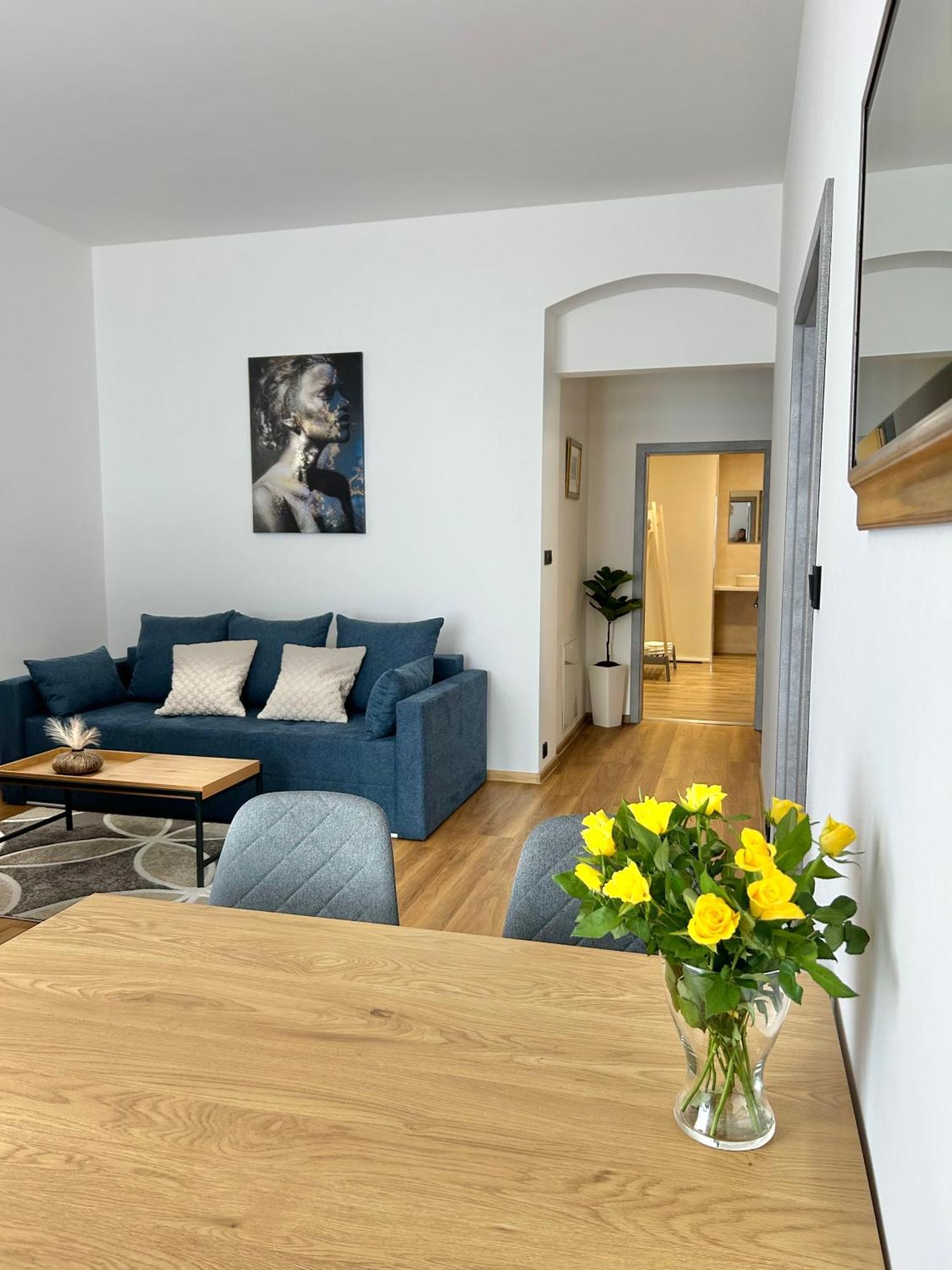 Apartment Dita Karlovy Vary Dış mekan fotoğraf
