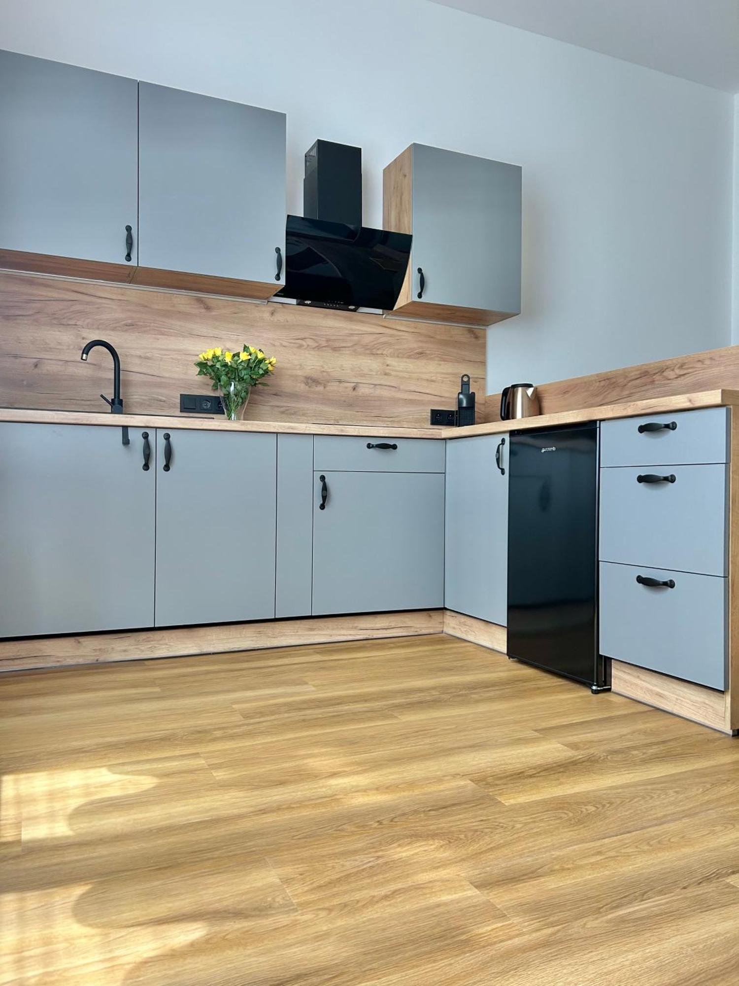 Apartment Dita Karlovy Vary Dış mekan fotoğraf