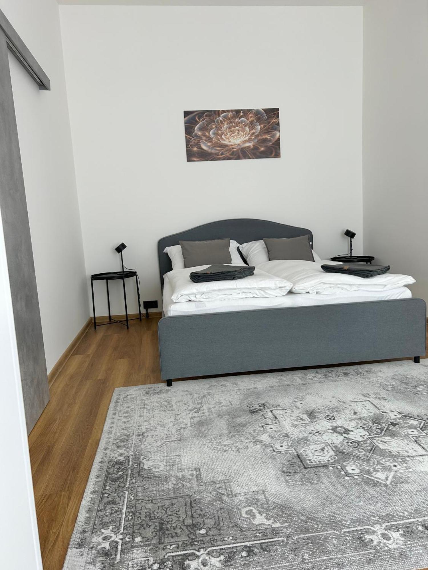 Apartment Dita Karlovy Vary Dış mekan fotoğraf